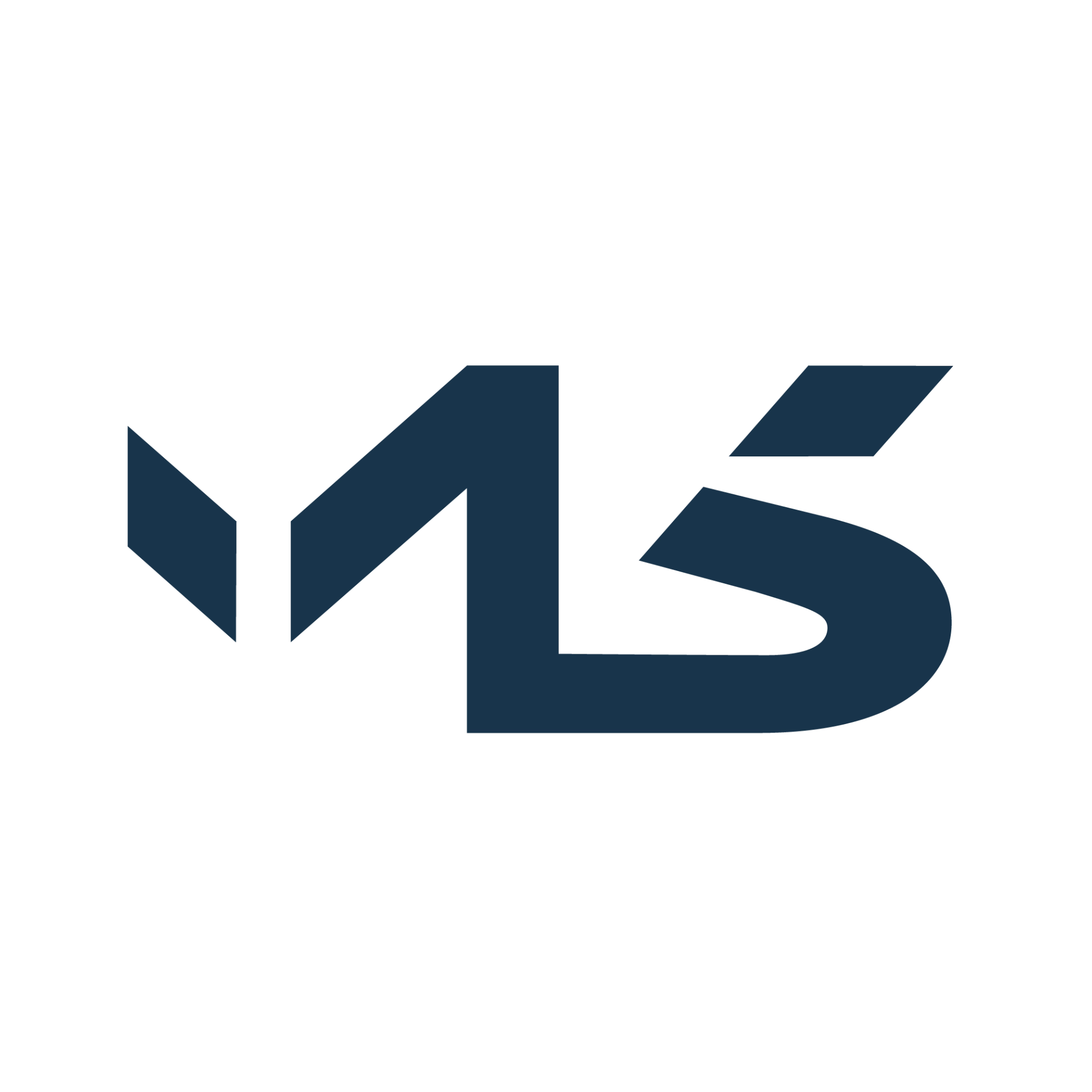 MS brand mark
